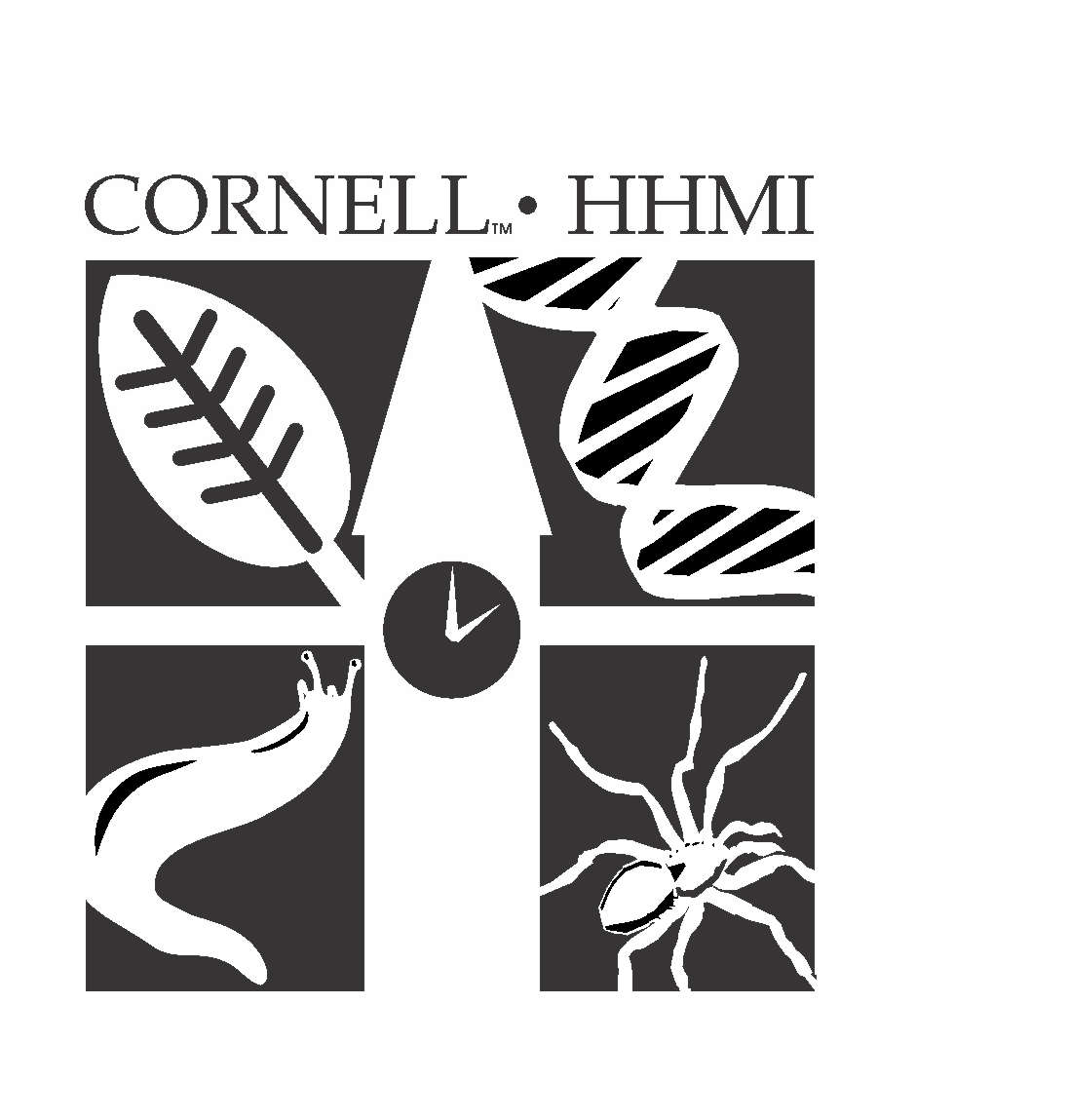 Cornell University CIBT Logo