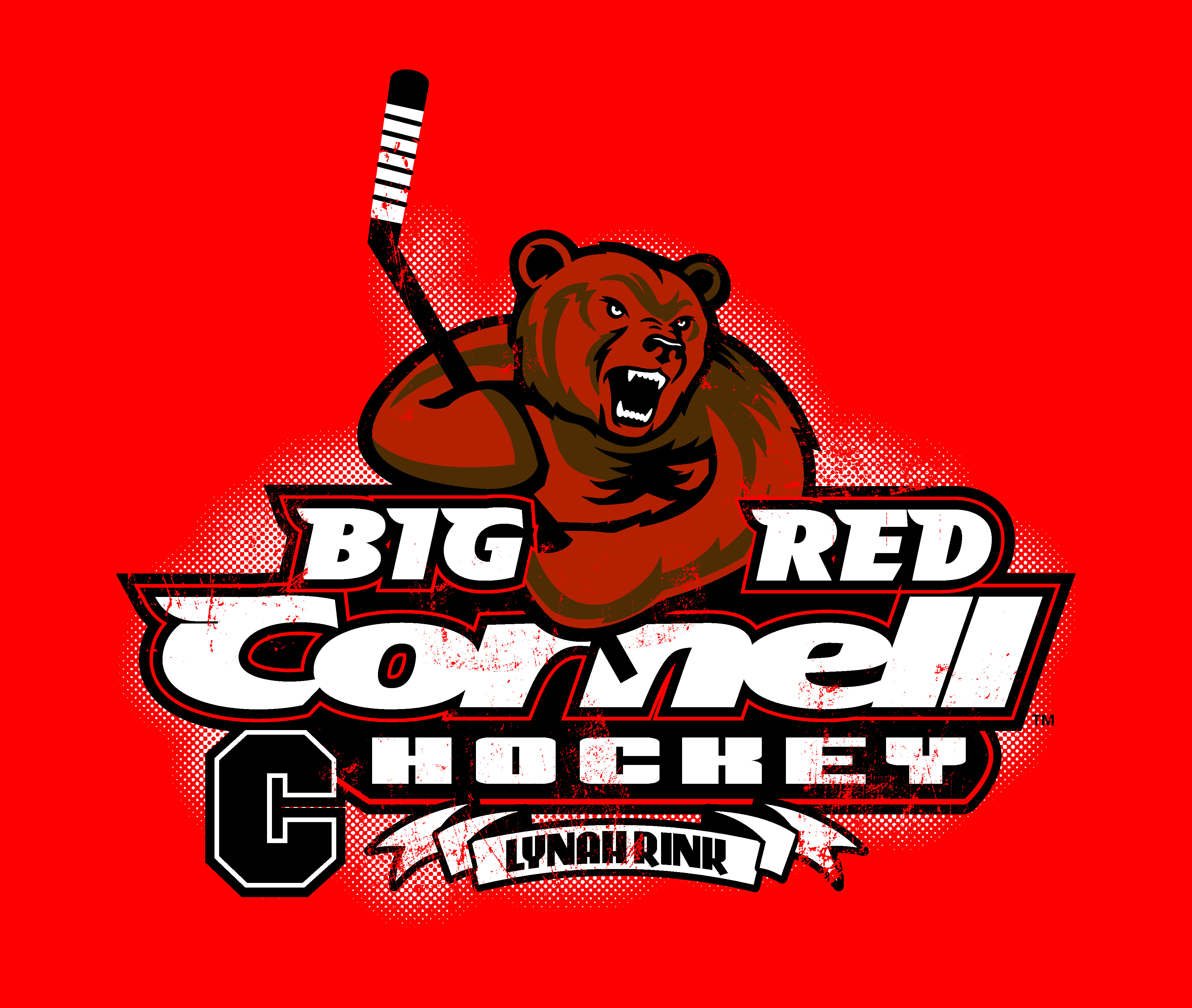 Cornell Hockey 3